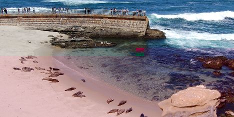 La Jolla beach